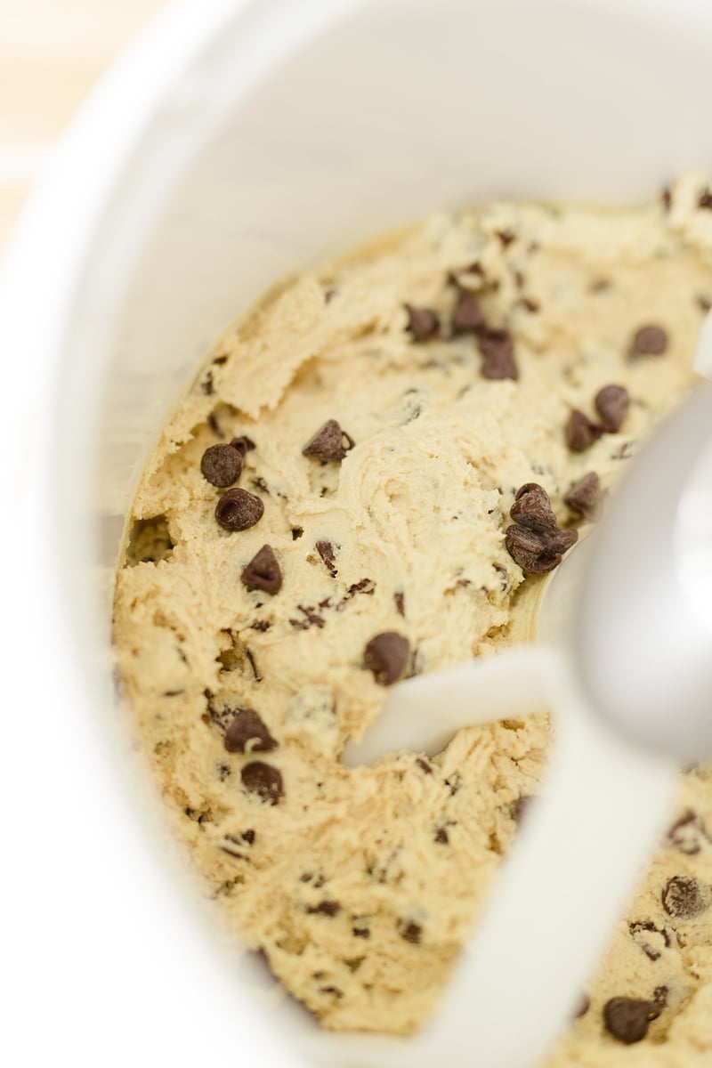 Chocolate Chip Cookie